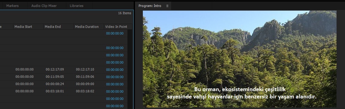 Yazılı Belge Çevirisi